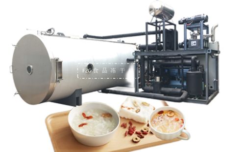 fzg食品凍干機(jī)解決凍干食品復(fù)水性問題