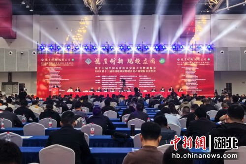中新網湖北 全國石膏技術交流大會在宜都開幕